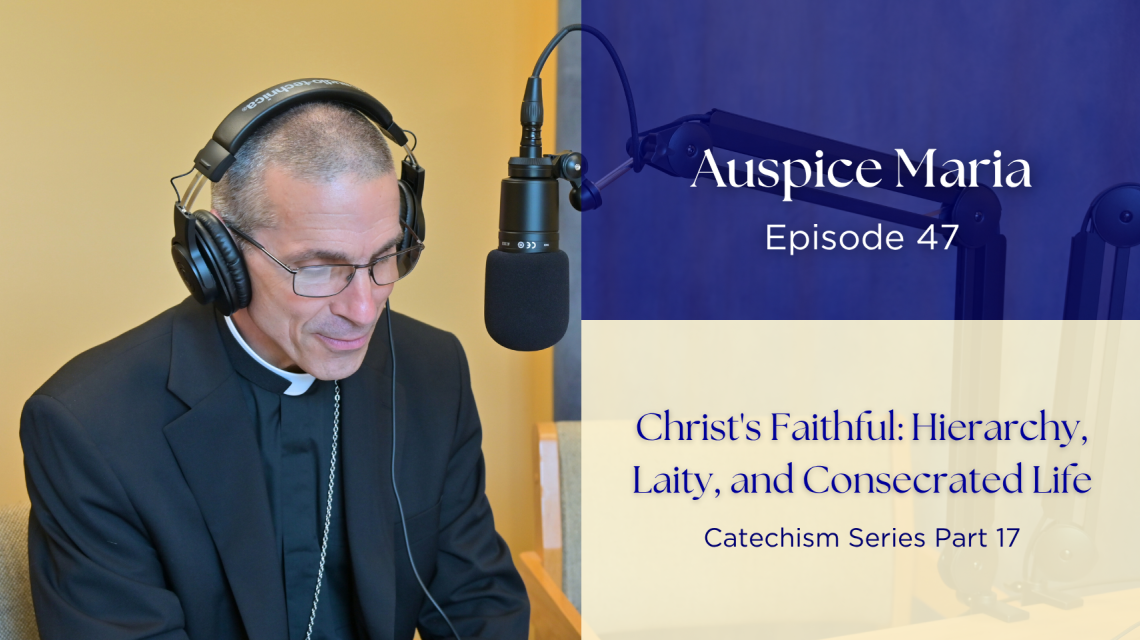 Christ's Faithful: Hierarchy, Laity, and Consecrated Life (Catechism Series Part 17) - Auspice Maria Ep 47