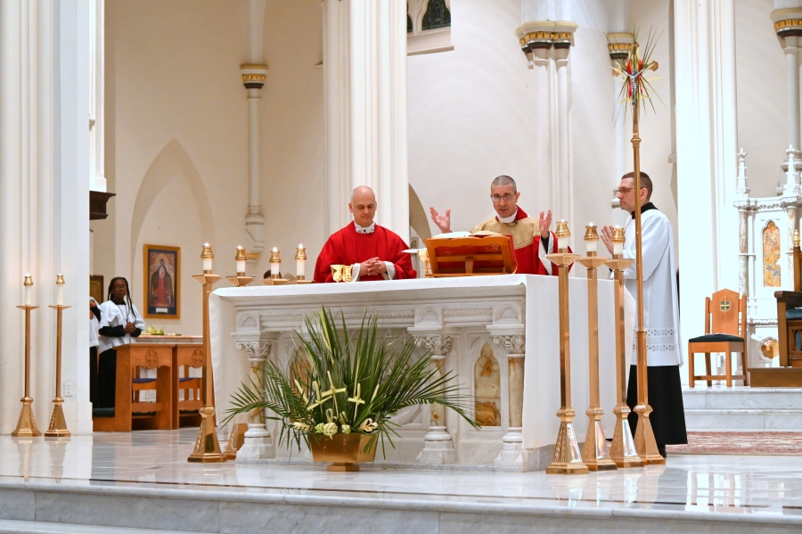 Celebration of the Liturgy of the Eucharist.