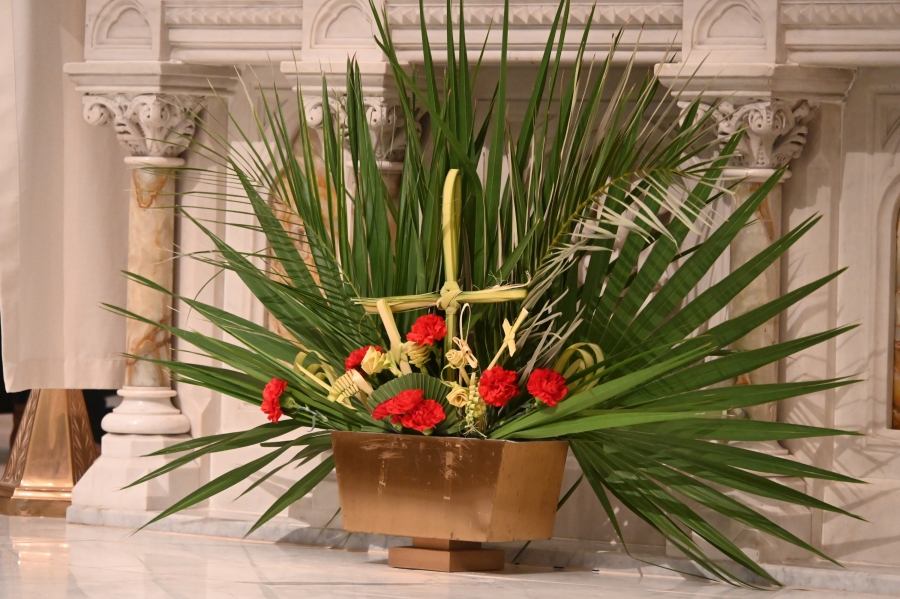Palm branches