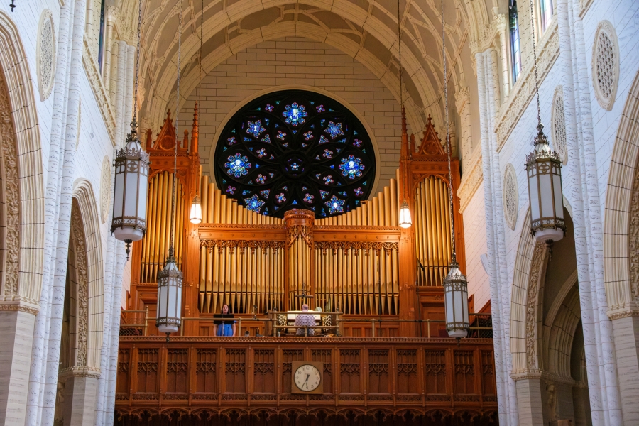 The basilica organ