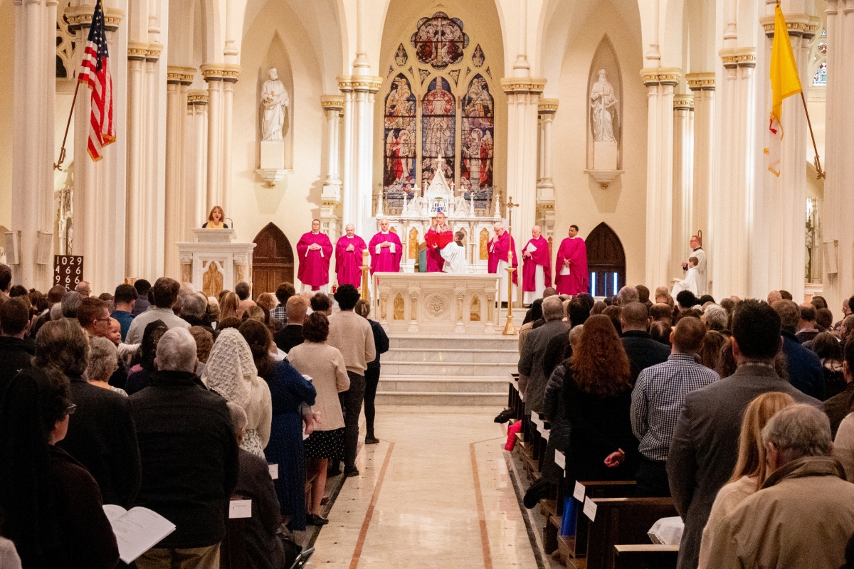 Cathedral of the Immaculate Conception