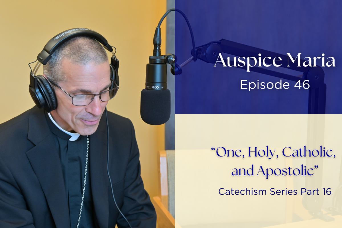 One, Holy, Catholic, and Apostolic (Catechism Series Part 16) - Auspice Maria Ep 46