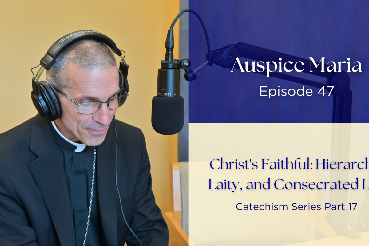 Christ's Faithful: Hierarchy, Laity, and Consecrated Life (Catechism Series Part 17) - Auspice Maria Ep 47