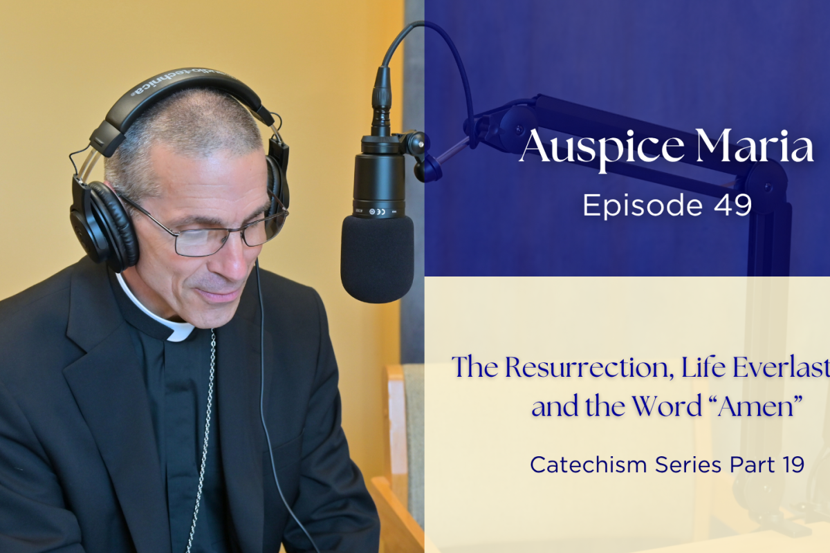 The Resurrection, Life Everlasting,  and the Word “Amen” (Catechism Series Part 19) Auspice Maria 49